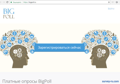Bigpoll.ru