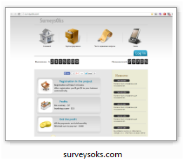 surveysoks.com